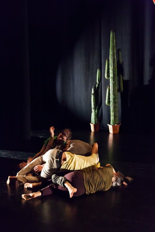 Fronteras (14)